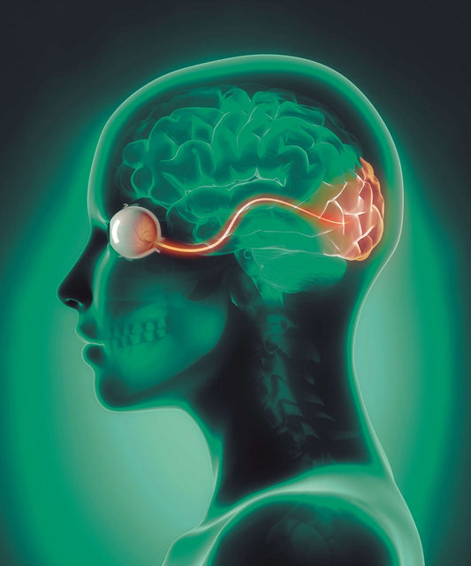 Die Rolle von Citicolin bei Glaukom