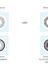 Cosmetic&Prosthetic Kontaktlinsen