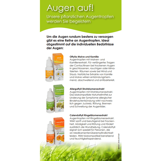 Flyer - Oftyll Augentropfen